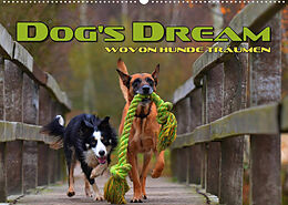 Kalender DOG'S DREAM - wovon Hunde träumen (Wandkalender 2023 DIN A2 quer) von Renate Bleicher