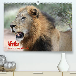 Kalender Afrika. Tiere in freier Wildbahn (Premium, hochwertiger DIN A2 Wandkalender 2023, Kunstdruck in Hochglanz) von Elisabeth Stanzer