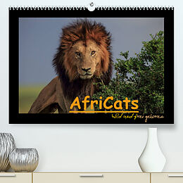 Kalender AfriCats (Premium, hochwertiger DIN A2 Wandkalender 2023, Kunstdruck in Hochglanz) von Harald Pieta