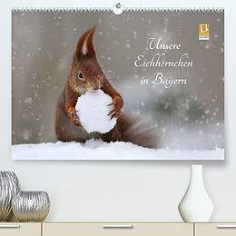 Kalender Unsere Eichhörnchen in Bayern (Premium, hochwertiger DIN A2 Wandkalender 2023, Kunstdruck in Hochglanz) von Birgit Cerny