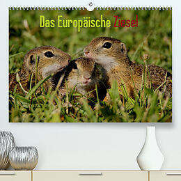 Kalender Das Europäische Ziesel (Premium, hochwertiger DIN A2 Wandkalender 2023, Kunstdruck in Hochglanz) von Winfried Erlwein
