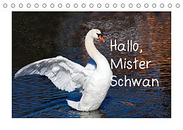 Kalender Hallo, Mister Schwan (Tischkalender 2023 DIN A5 quer) von Christa Kramer