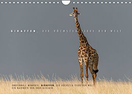 Kalender Emotionale Momente: Giraffen, die höchsten Tiere der Welt. (Wandkalender 2023 DIN A4 quer) von Ingo Gerlach