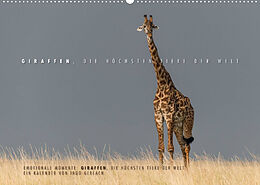 Kalender Emotionale Momente: Giraffen, die höchsten Tiere der Welt. (Wandkalender 2023 DIN A2 quer) von Ingo Gerlach