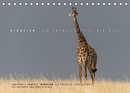 Kalender Emotionale Momente: Giraffen, die höchsten Tiere der Welt. (Tischkalender 2023 DIN A5 quer) von Ingo Gerlach
