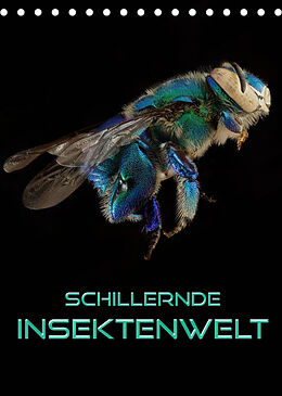 Kalender Schillernde Insektenwelt (Tischkalender 2023 DIN A5 hoch) von Renate Bleicher