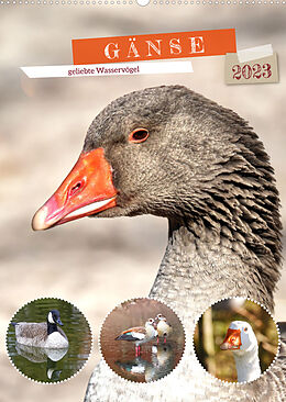 Kalender Gänse, geliebte Wasservögel (Wandkalender 2023 DIN A2 hoch) von Sabine Löwer