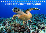Kalender Magische Unterwasserwelten (Tischkalender 2023 DIN A5 quer) von Martin Hablützel