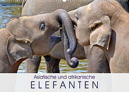 Kalender Asiatische und afrikanische Elefanten (Wandkalender 2023 DIN A2 quer) von Elisabeth Stanzer