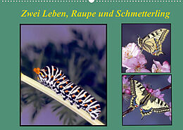 Kalender Zwei Leben, Raupe und Schmetterling (Wandkalender 2023 DIN A2 quer) von Lothar Reupert