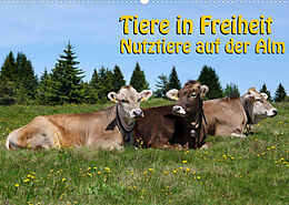 Kalender Tiere in Freiheit - Nutztiere auf der Alm (Wandkalender 2023 DIN A2 quer) von Georg Niederkofler