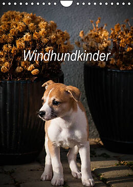 Kalender Windhundkinder (Wandkalender 2023 DIN A4 hoch) von Ula Redl