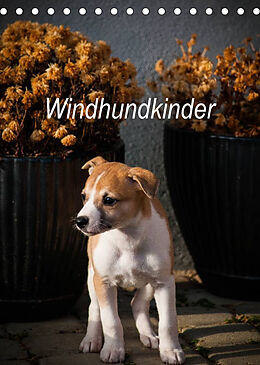 Kalender Windhundkinder (Tischkalender 2023 DIN A5 hoch) von Ula Redl