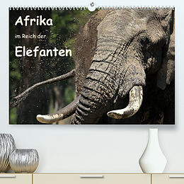 Kalender Afrika - im Reich der Elefanten (Premium, hochwertiger DIN A2 Wandkalender 2023, Kunstdruck in Hochglanz) von Michael Herzog