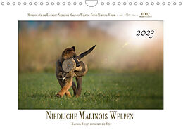 Kalender Niedliche Malinois Welpen (Wandkalender 2023 DIN A4 quer) von Martina Wrede