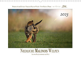 Kalender Niedliche Malinois Welpen (Wandkalender 2023 DIN A3 quer) von Martina Wrede
