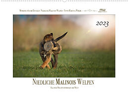 Kalender Niedliche Malinois Welpen (Wandkalender 2023 DIN A2 quer) von Martina Wrede