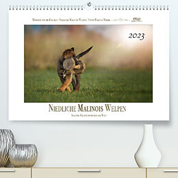 Kalender Niedliche Malinois Welpen (Premium, hochwertiger DIN A2 Wandkalender 2023, Kunstdruck in Hochglanz) von Martina Wrede