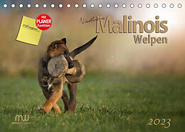 Kalender Niedliche Malinois Welpen (Tischkalender 2023 DIN A5 quer) von Martina Wrede