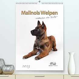 Kalender Malinois Welpen entdecken die Welt (Premium, hochwertiger DIN A2 Wandkalender 2023, Kunstdruck in Hochglanz) von Martina Wrede