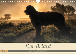 Kalender Der Briard 2023 - Ein echter Charmeur (Wandkalender 2023 DIN A4 quer) von Sonja Teßen