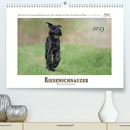 Kalender Riesenschnauzer - Riesen mit Herz und Seele (Premium, hochwertiger DIN A2 Wandkalender 2023, Kunstdruck in Hochglanz) von Martina Wrede