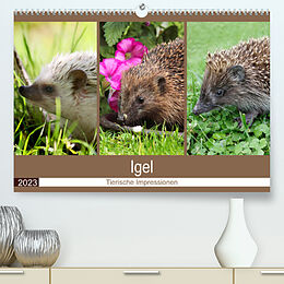 Kalender Igel 2023. Tierische Impressionen (Premium, hochwertiger DIN A2 Wandkalender 2023, Kunstdruck in Hochglanz) von Steffani Lehmann (Hrsg.)