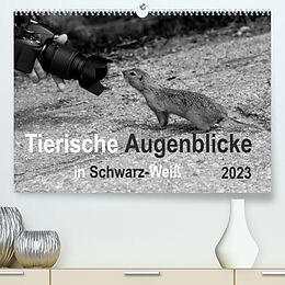 Kalender Tierische Augenblicke in Schwarz-Weiß (Premium, hochwertiger DIN A2 Wandkalender 2023, Kunstdruck in Hochglanz) von Marianne Drews