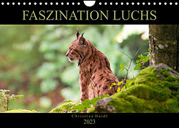 Kalender Faszination Luchs (Wandkalender 2023 DIN A4 quer) von www.chphotography.de
