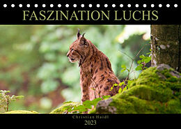 Kalender Faszination Luchs (Tischkalender 2023 DIN A5 quer) von www.chphotography.de