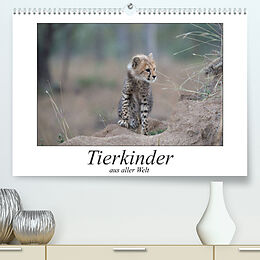 Kalender Tierkinder aus aller Welt (Premium, hochwertiger DIN A2 Wandkalender 2023, Kunstdruck in Hochglanz) von Robert Styppa