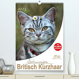 Kalender Schmusige Britisch Kurzhaar (Premium, hochwertiger DIN A2 Wandkalender 2023, Kunstdruck in Hochglanz) von Martina Wrede