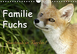 Kalender Familie Fuchs hautnah in Berlin (Wandkalender 2023 DIN A4 quer) von Sabine Brinker