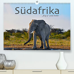 Kalender Südafrika - Big 5 und mehr (Premium, hochwertiger DIN A2 Wandkalender 2023, Kunstdruck in Hochglanz) von Robert Styppa