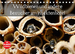 Kalender Wildbienen und andere Besucher am Insektenhotel (Tischkalender 2023 DIN A5 quer) von Anja Frost