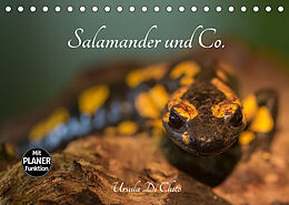 Kalender Salamander und Co. (Tischkalender 2023 DIN A5 quer) von Ursula Di Chito