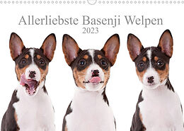 Kalender Allerliebste Basenji Welpen 2023 (Wandkalender 2023 DIN A3 quer) von Angelika Joswig