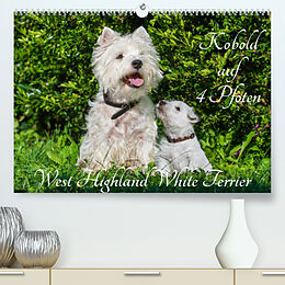 Kalender Kobold auf 4 Pfoten - West Highland White Terrier (Premium, hochwertiger DIN A2 Wandkalender 2023, Kunstdruck in Hochglanz) von Sigrid Starick