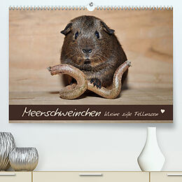 Kalender Meerschweinchen - Kleine süße Fellnasen (Premium, hochwertiger DIN A2 Wandkalender 2023, Kunstdruck in Hochglanz) von Petra Fischer