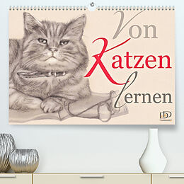 Kalender Von Katzen lernen (Premium, hochwertiger DIN A2 Wandkalender 2023, Kunstdruck in Hochglanz) von Dany's Kunst &amp; Design