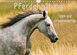Kalender Pferdehaltung Tipps und Wissenswertes (Wandkalender 2023 DIN A4 quer) von Meike Bölts