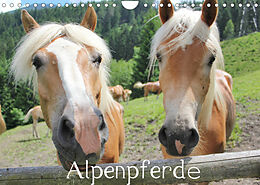 Kalender Alpenpferde (Wandkalender 2023 DIN A4 quer) von Katrin Lantzsch
