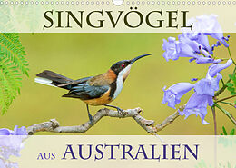 Kalender Singvögel aus Australien (Wandkalender 2023 DIN A3 quer) von BIA birdimagency