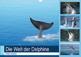 Kalender Die Welt der Delphine (Wandkalender 2023 DIN A3 quer) von Heike Hultsch