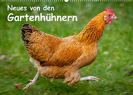 Kalender Neues von den Gartenhühnern (Wandkalender 2023 DIN A2 quer) von Britta Berkenkamp
