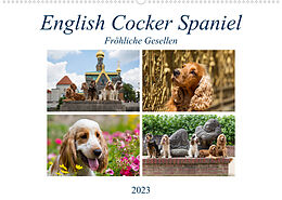 Kalender English Cocker Spaniel - Fröhliche Gesellen (Wandkalender 2023 DIN A2 quer) von Fotodesign Verena Scholze