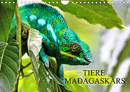 Kalender Tiere Madagaskars (Wandkalender 2023 DIN A4 quer) von Céline Baur
