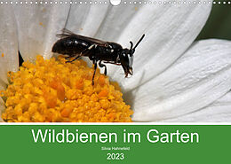 Kalender Wildbienen im Garten (Wandkalender 2023 DIN A3 quer) von Silvia Hahnefeld
