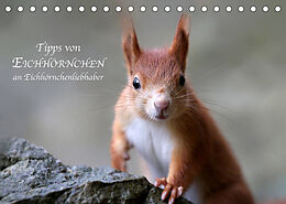Kalender Tipps von Eichhörnchen an Eichhörnchenliebhaber (Tischkalender 2023 DIN A5 quer) von Birgit Cerny