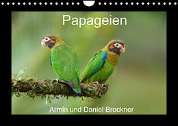 Kalender Papageien (Wandkalender 2023 DIN A4 quer) von Armin und Daniel Brockner